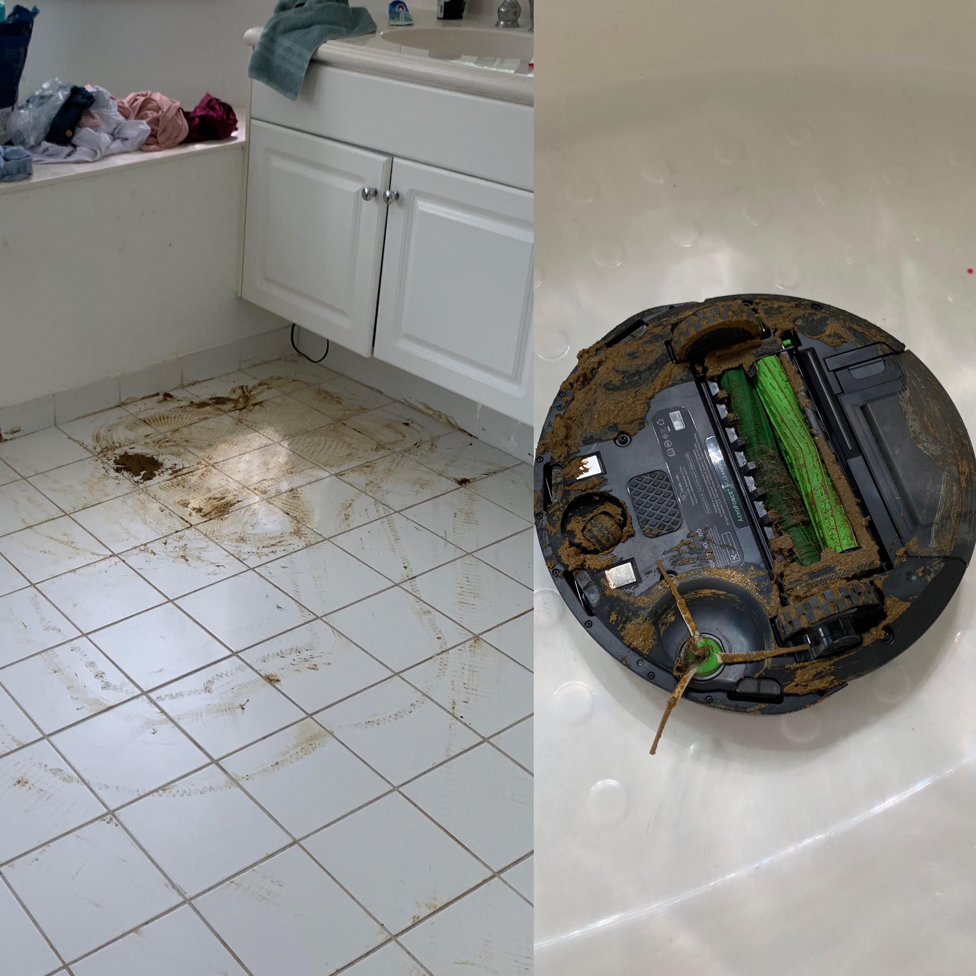 My new Roomba ran over my dog’s shit and proceeded to “clean” the rest of my house.