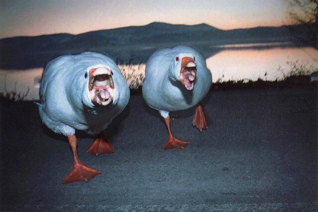 Slov and his second in command preparing for the Area 51 Raid