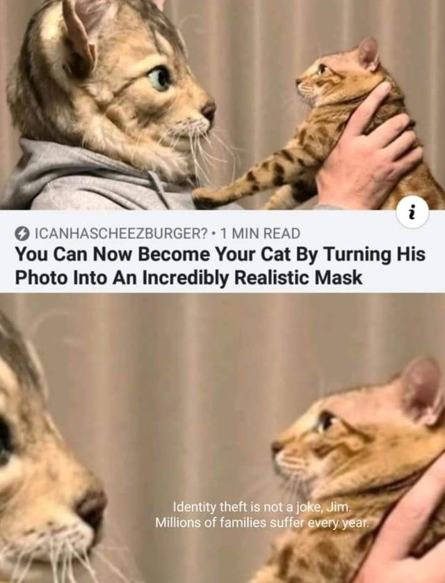 neat