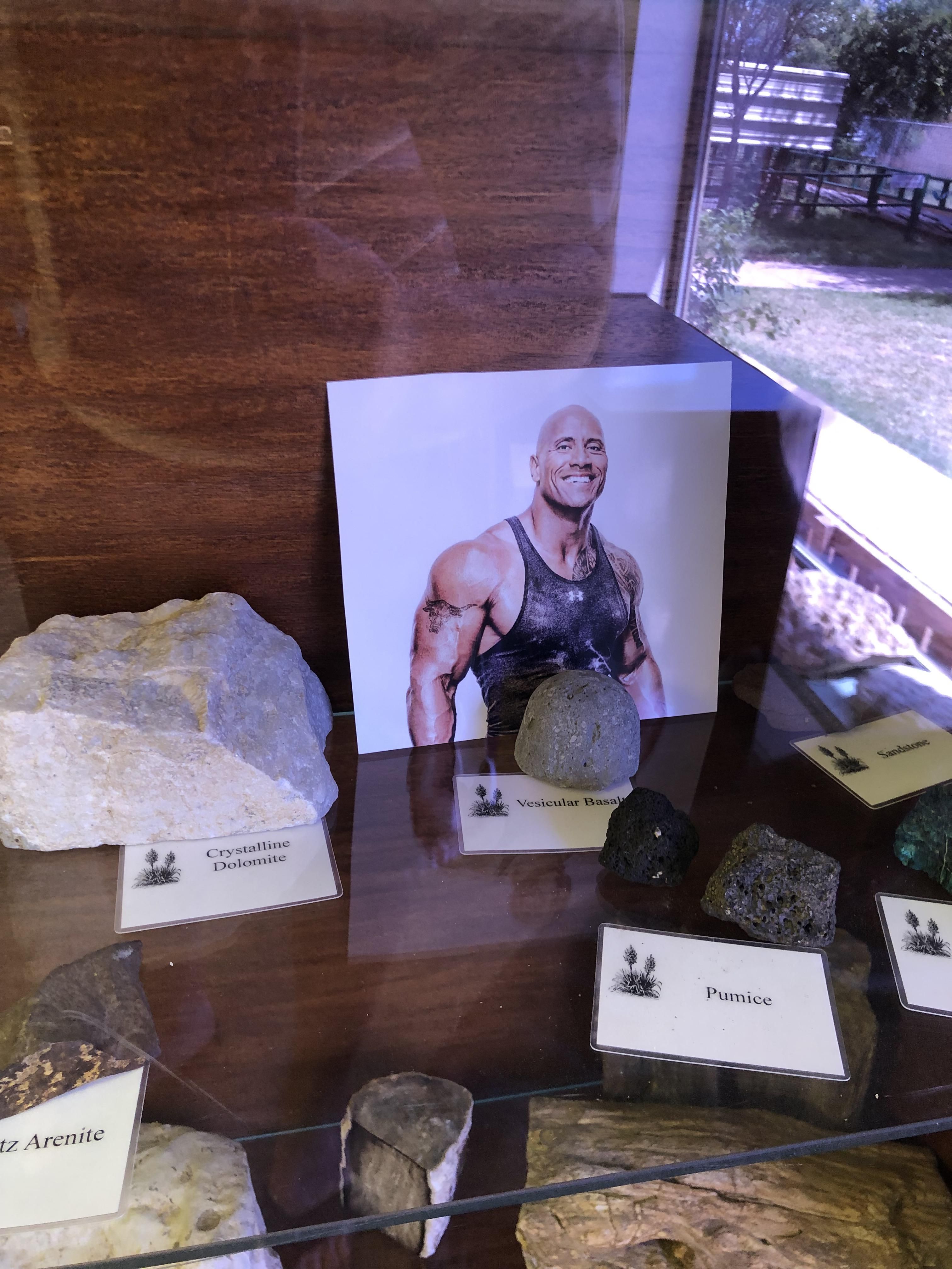 There's a photo of Dwayne Johnson in the rock section of this nature center I was in.