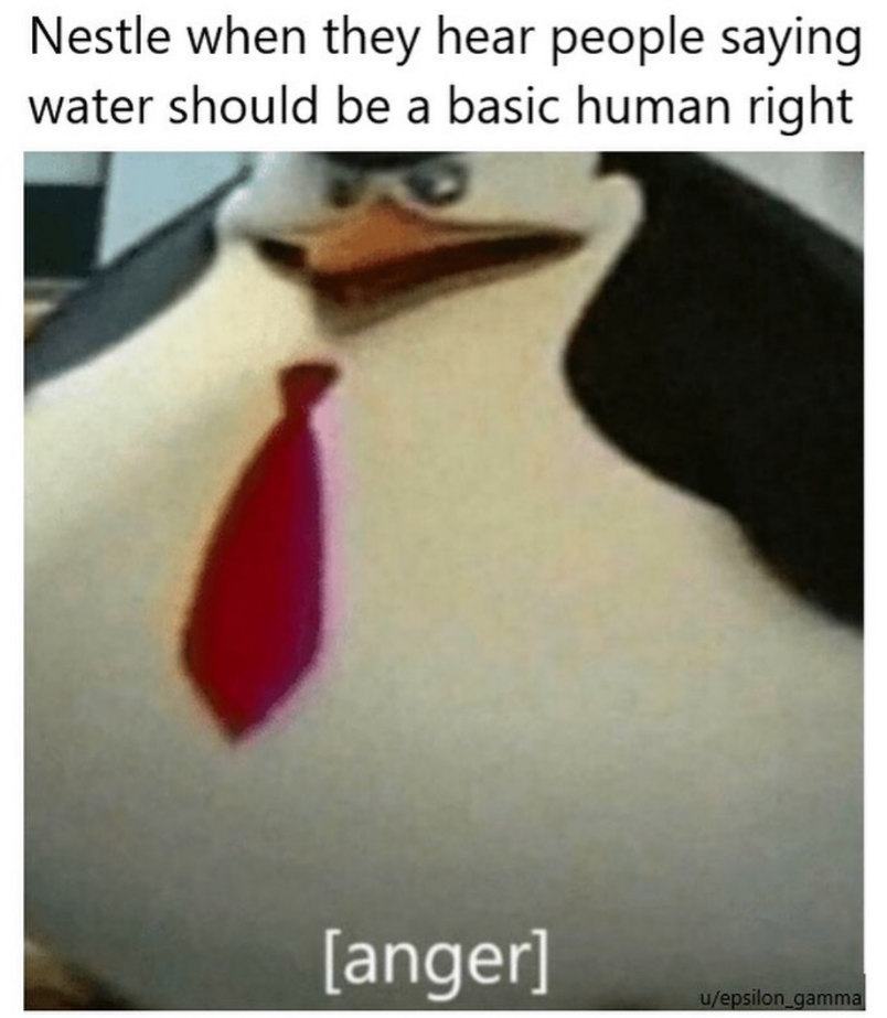 Nastle