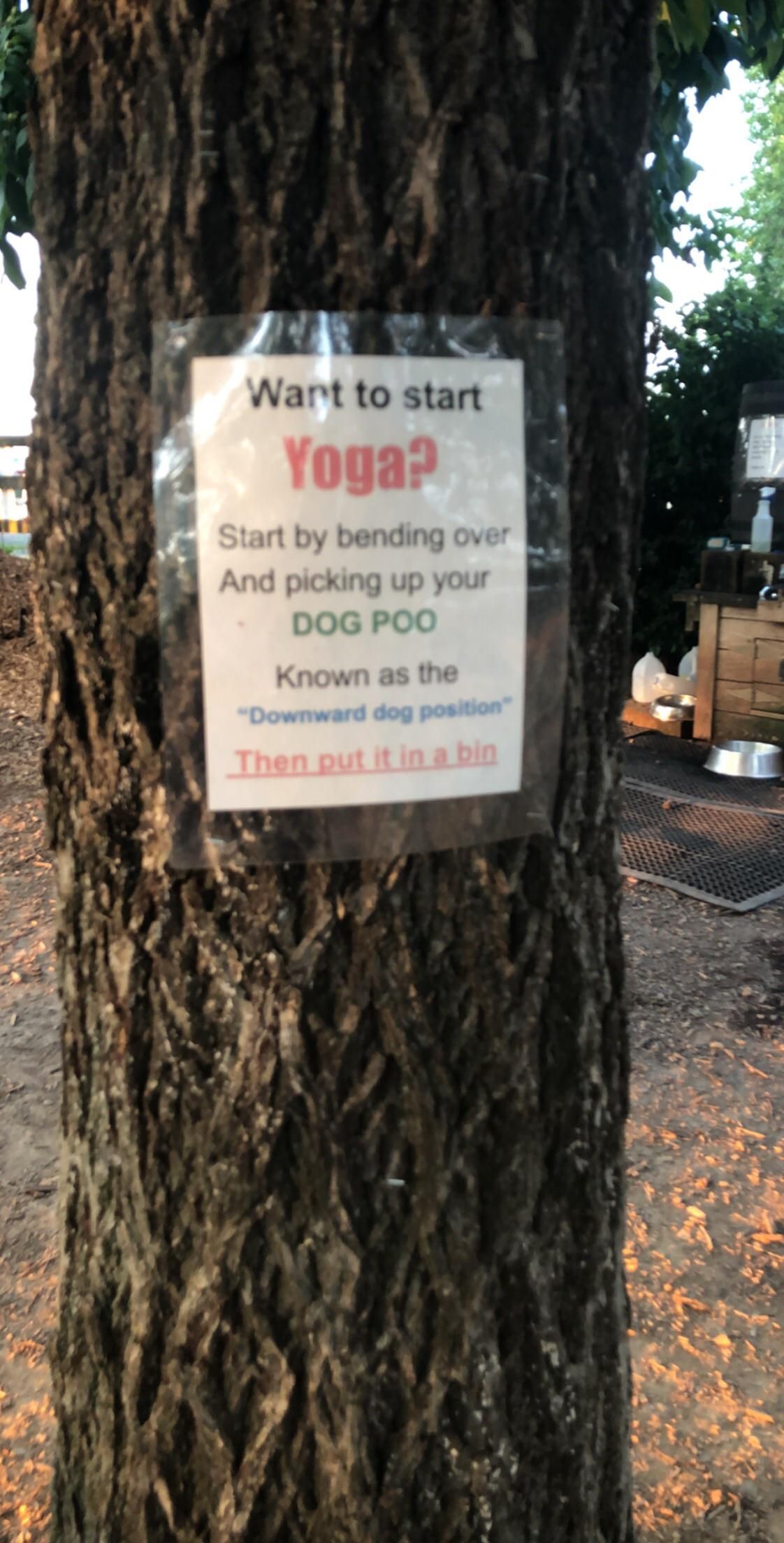 Found this gem at my local dog park.