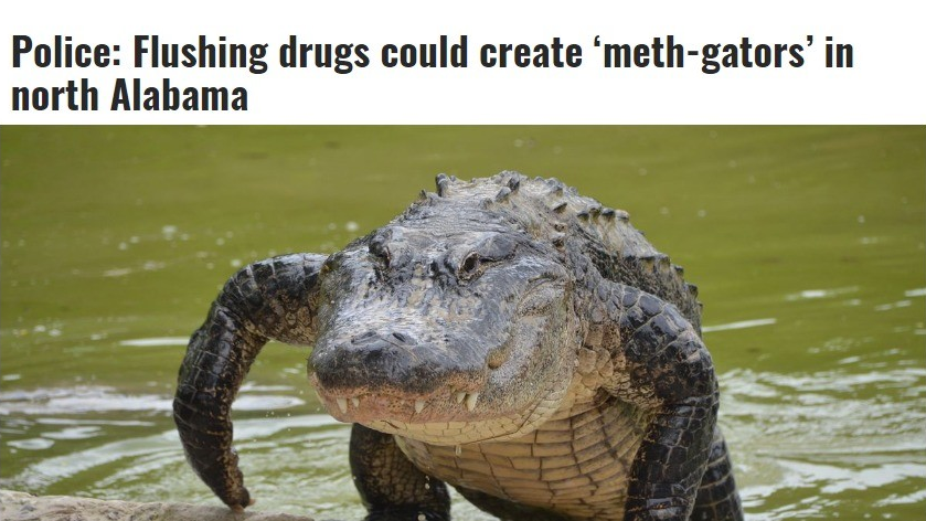 It's the only way to defeat Florida Man