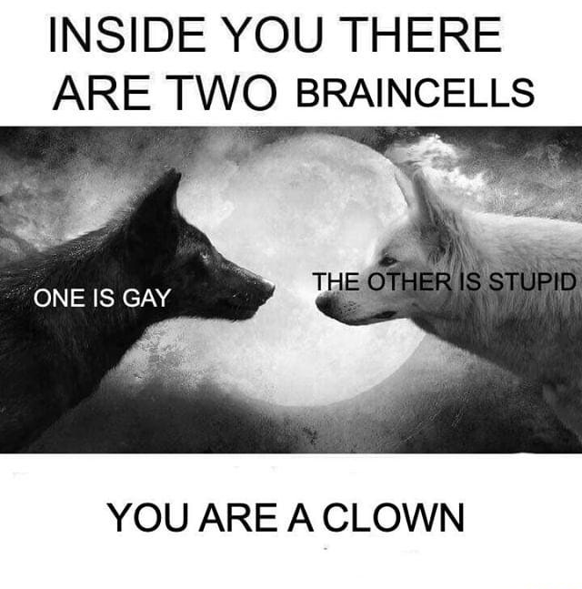 Honk honk