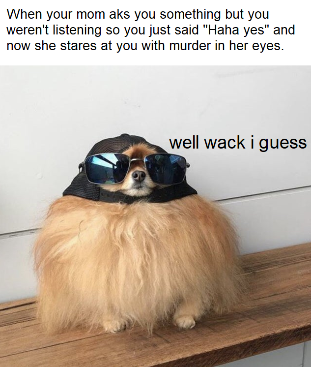 I am sorry mom please don't drink the abuse juice