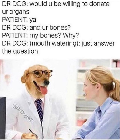 A N S W E R I T
