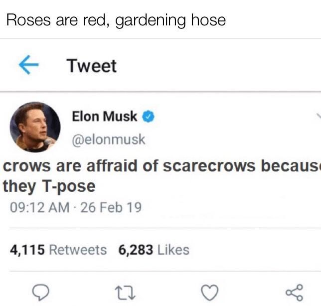 Asserting dominance