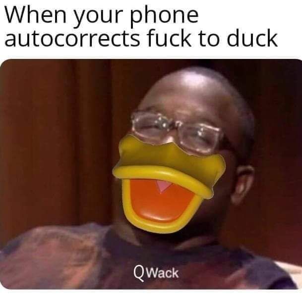 Duck
