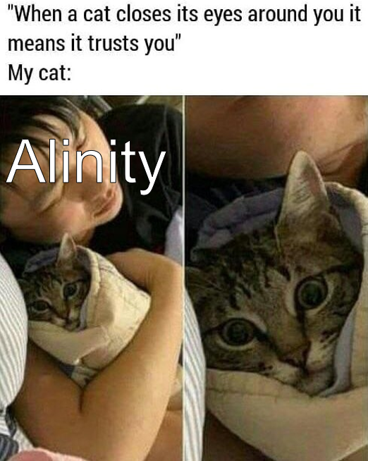 some shitty ass streamer abuses her cat on live stream