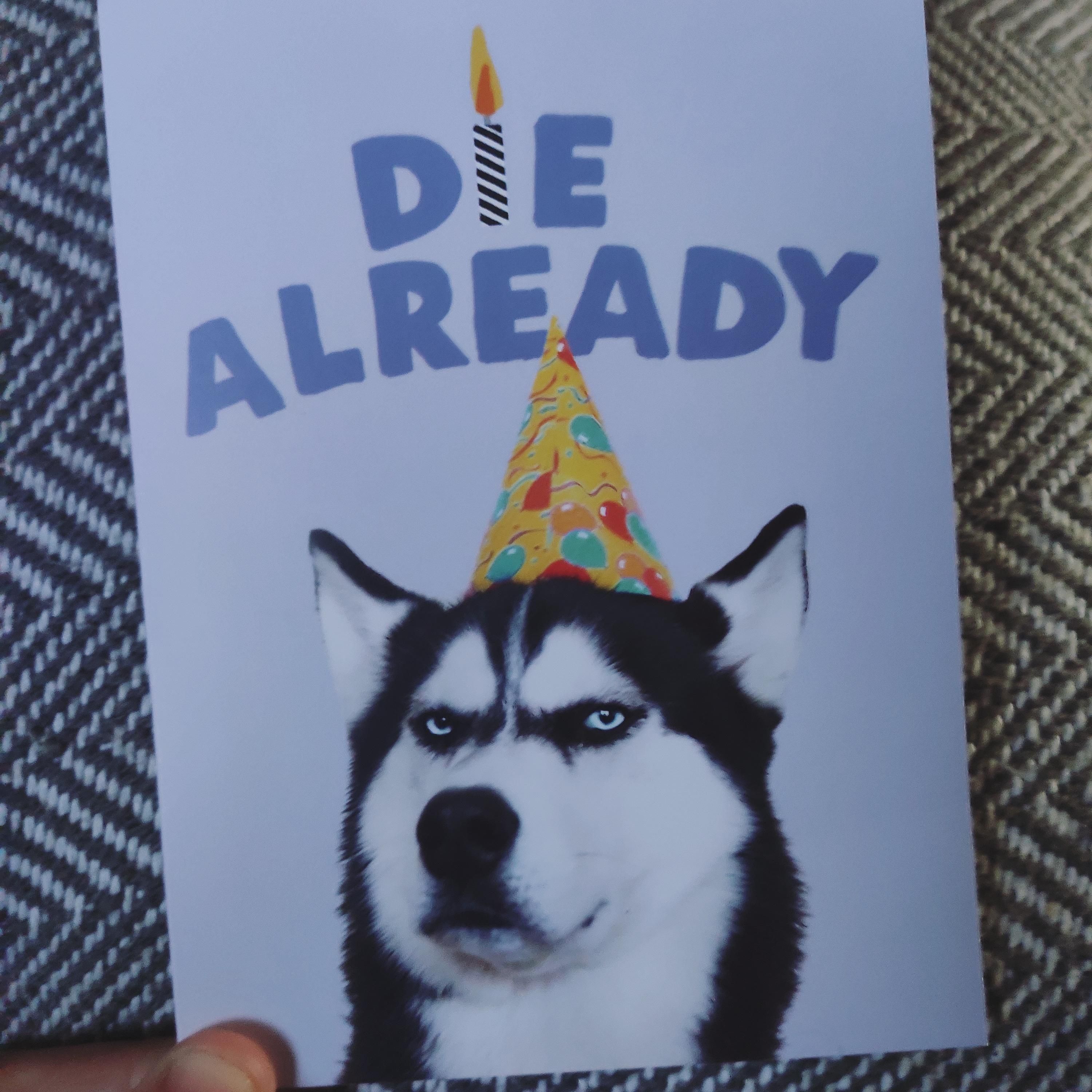 My 4 year old niece can't read and bought me this birthday card because it featured 'a cute dog with a party hat'