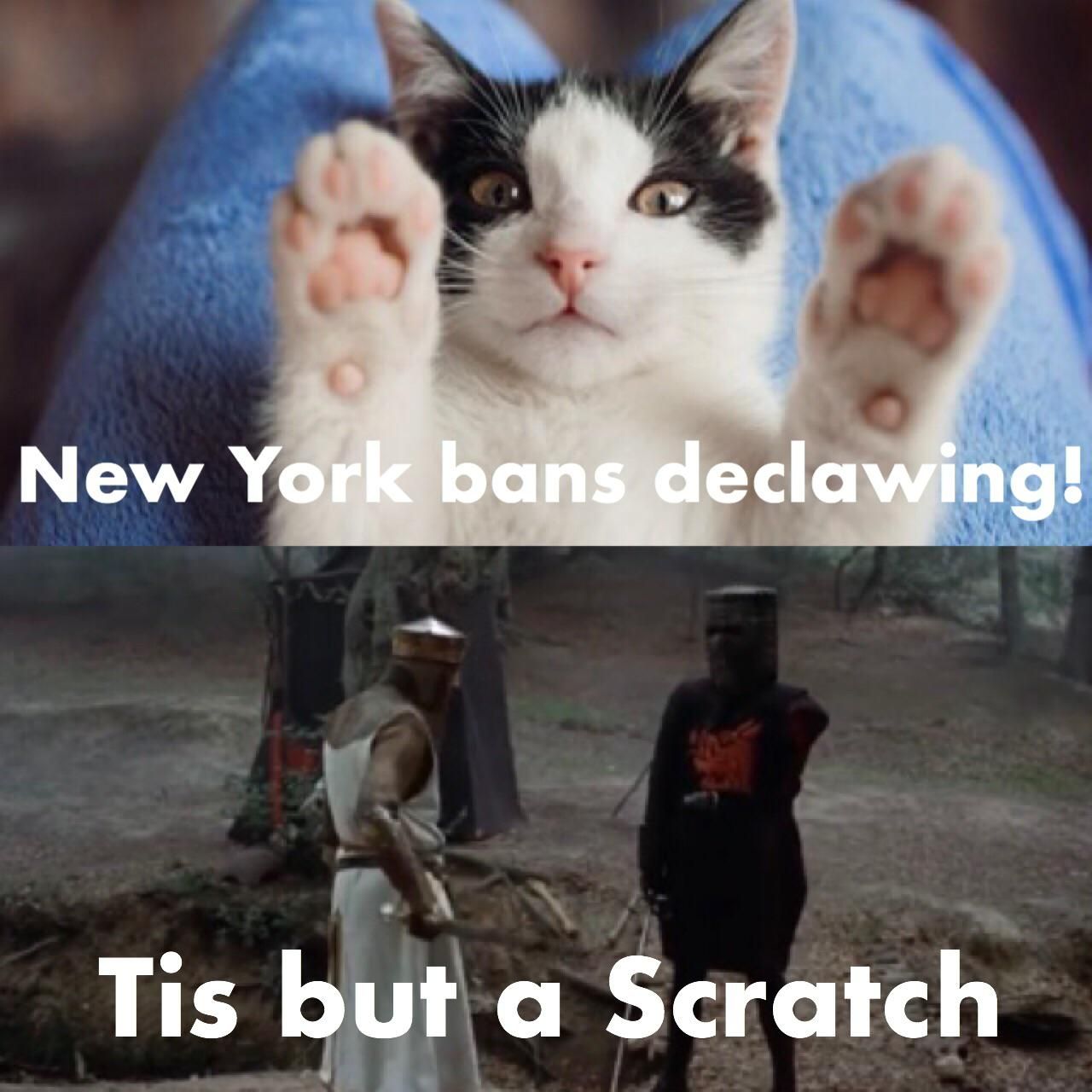 New York bans Cat Declawing!