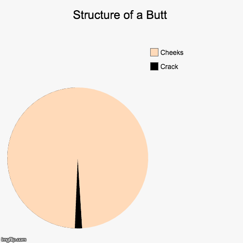 Probably the most accurate pie chart I’ve seen.