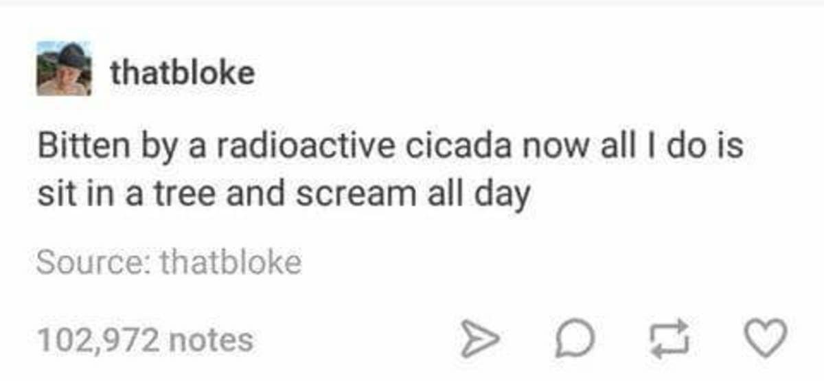 Wait, that's not normal?