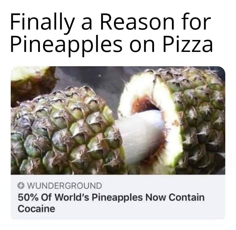DAMN I FINALY LOVE PINEAPPLE PIZZA