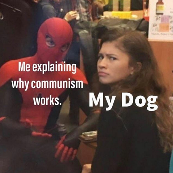 Wait, I don't have a dog.