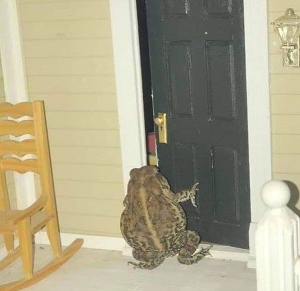 Bye fam, see you next wednesday