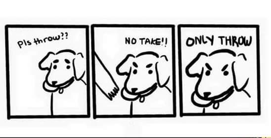I know this dog logic all too well.