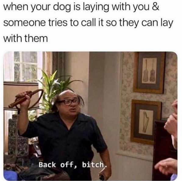 Don't touch MY dog.