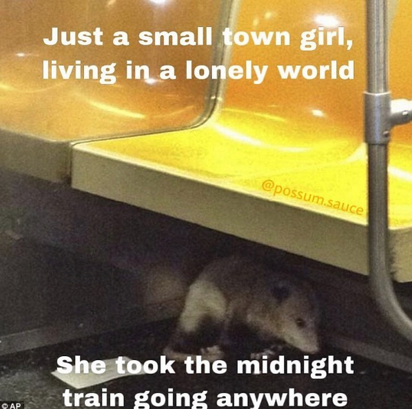 Small town girl.
