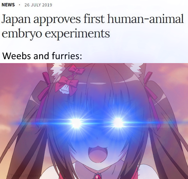 Can we atleast pretend to be allies a bit