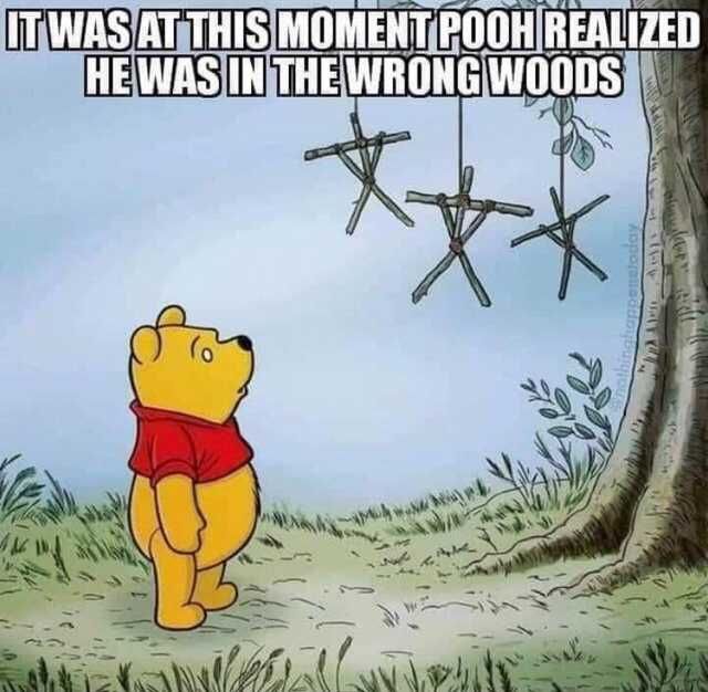 When Pooh realized he was in the wrong woods...