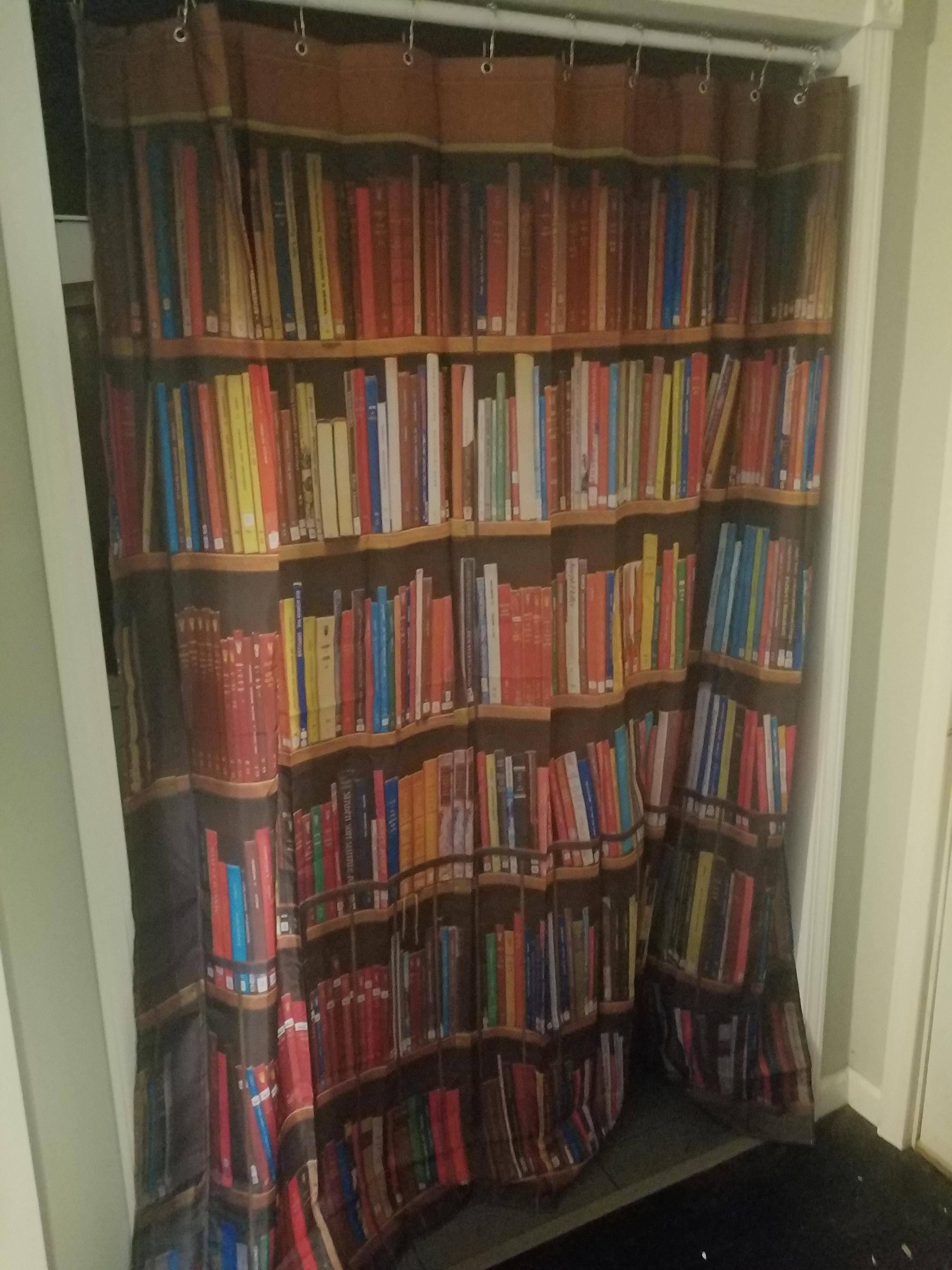 Just installed a fake bookcase with a secret passageway behind it!