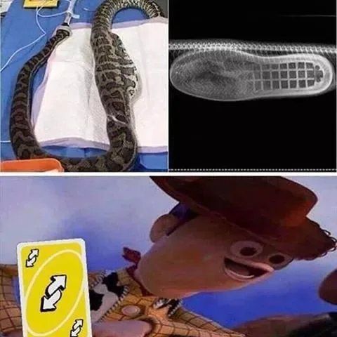 There's a boot in my snake!!