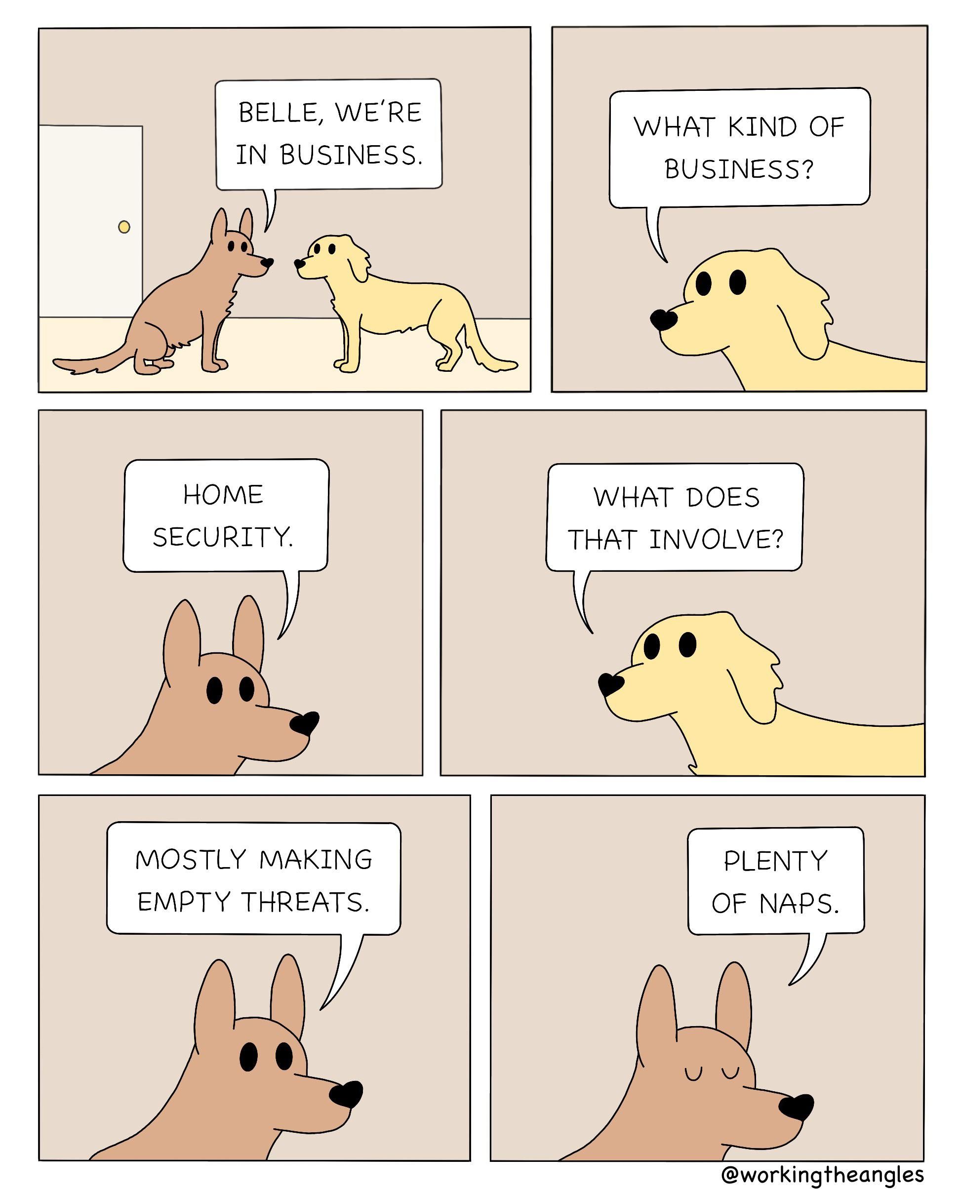 Working dogs