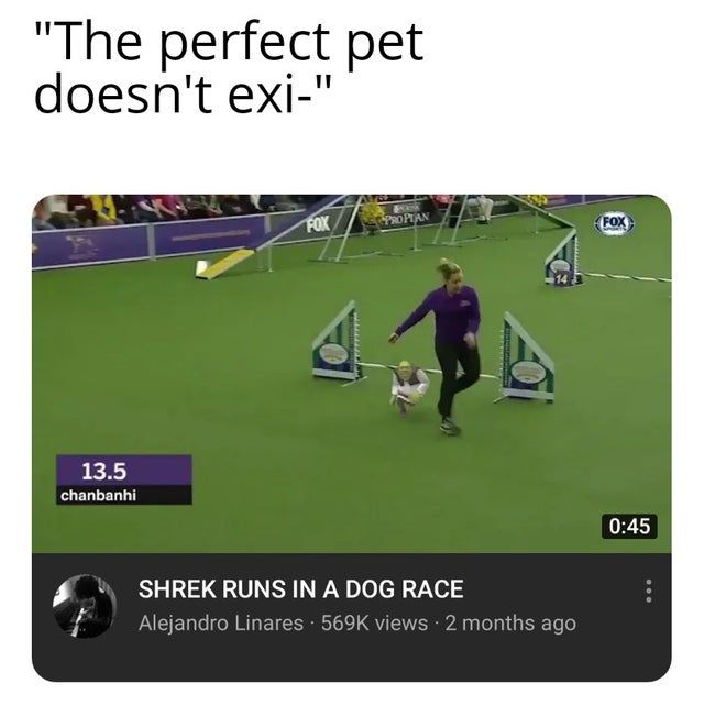 perfect