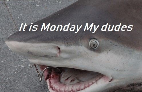 Sharks