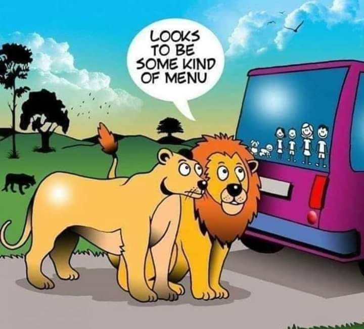 Lion Drive Thru...