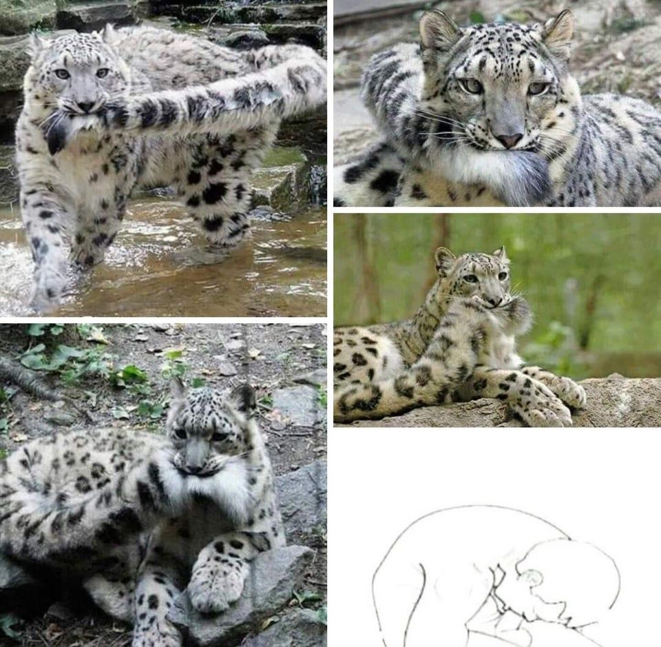 same energy
