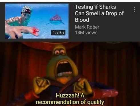 Sharks can smell that you're gay