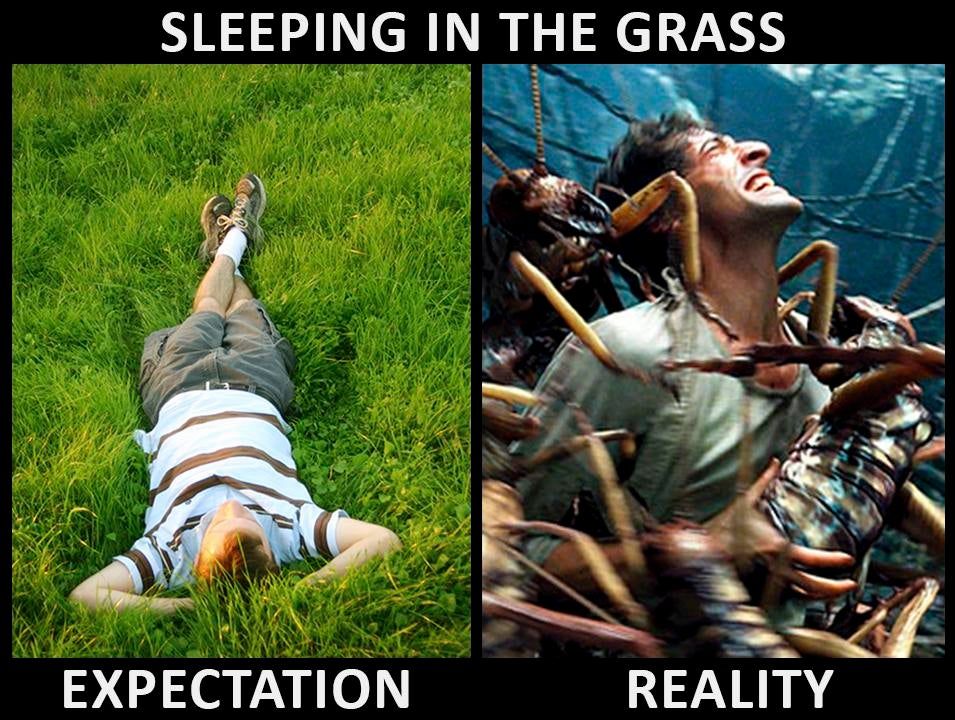 How do people enjoy outside?