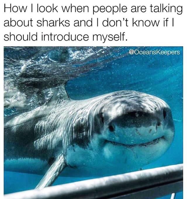 Im shy tbh