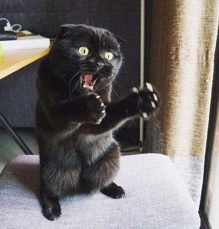 "I saw a mouse this morning, and it was this big!"