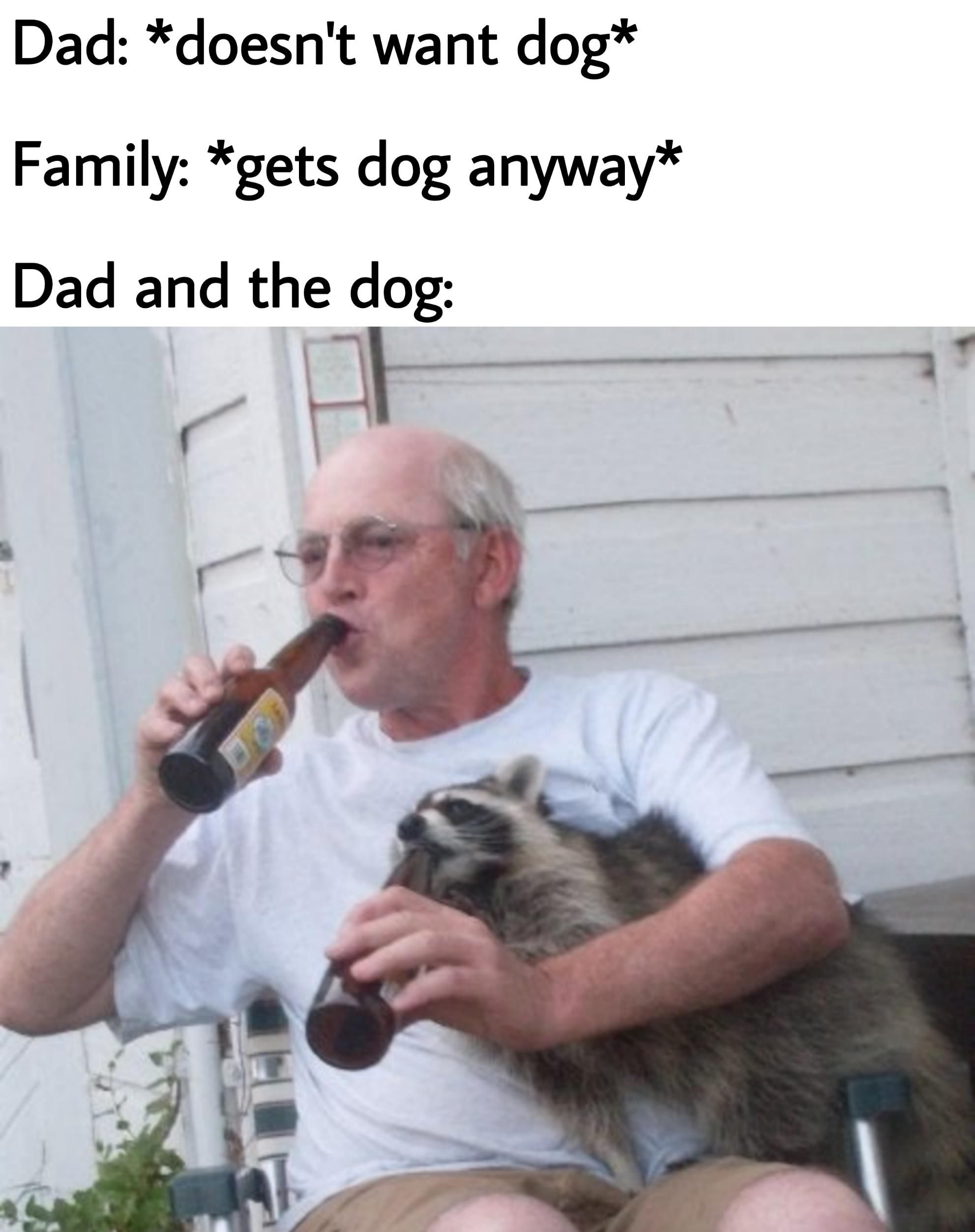 weird dog