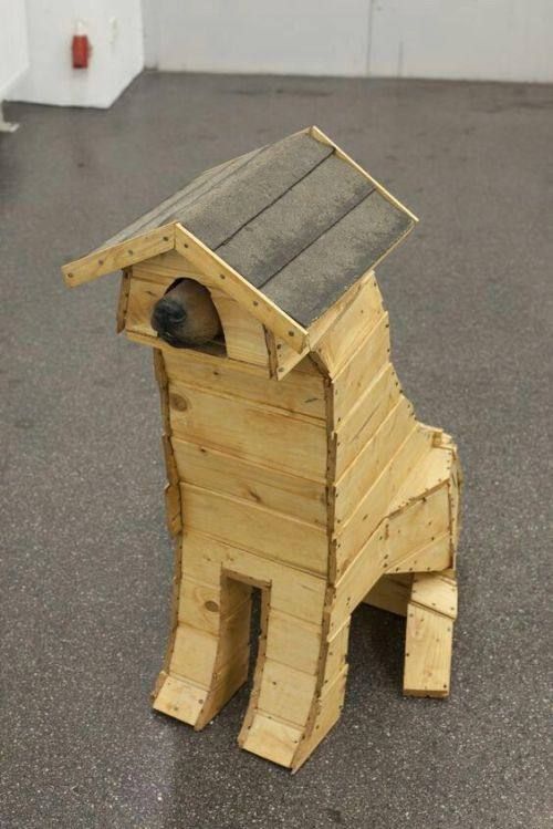 When the apartment is small but you need a house for your dog.