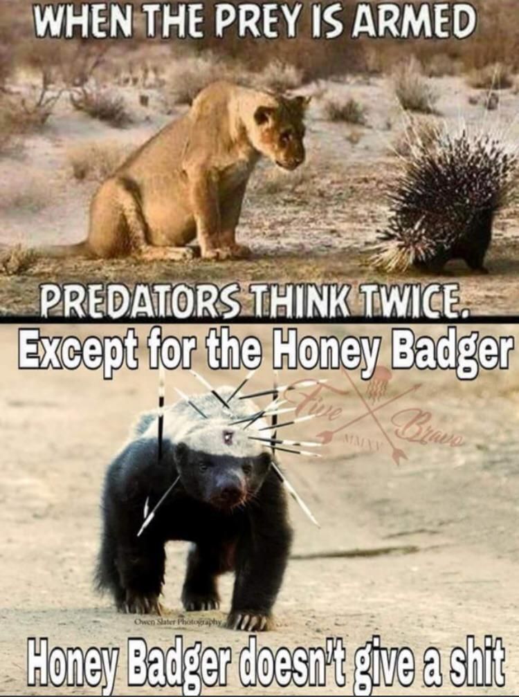 Honey badger don’t give a shit