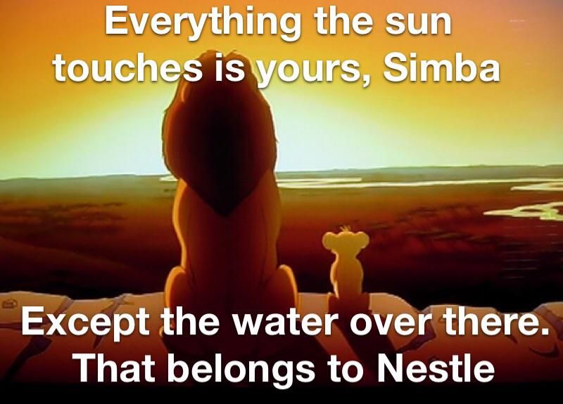 Nestle stole the water.