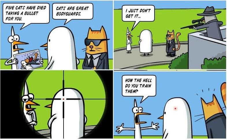 Whatever happened, Cattygaurds will always save you!