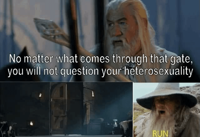 Veni, vidi, viggo