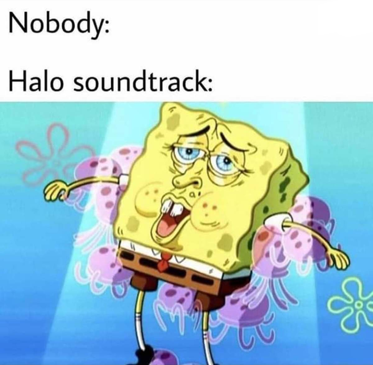 It's beautiful