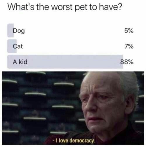 Relatable