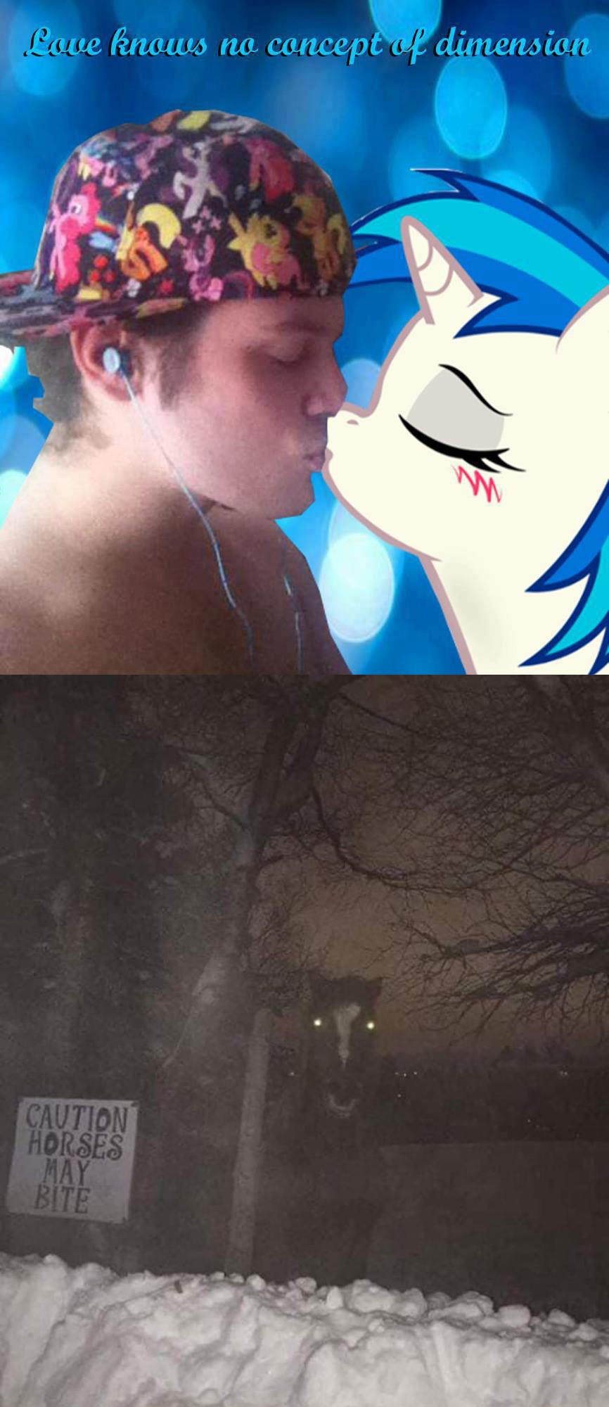 Attention all bronies, horses are hostile creatures who crave fatty meat