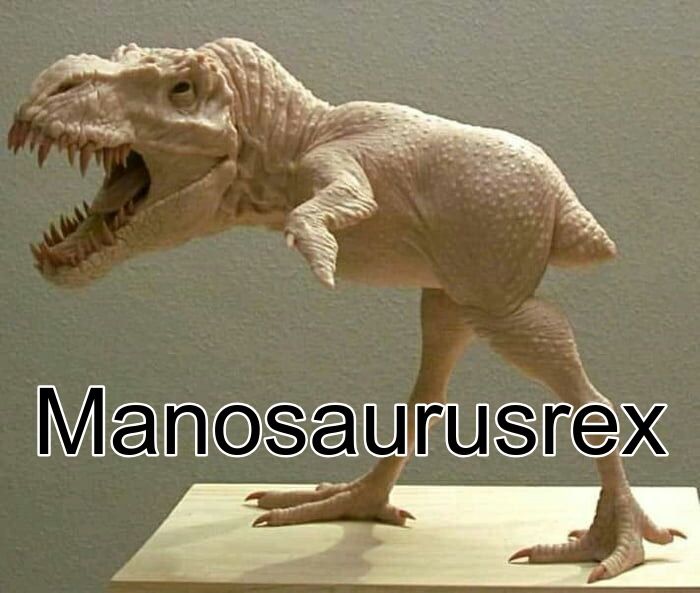 I present to you