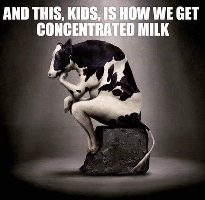 Next I'll explain chocolate milk...