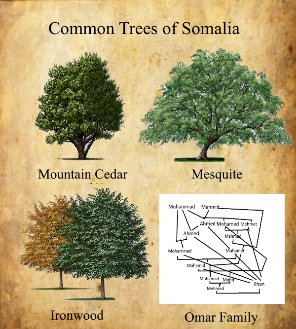 African Trees