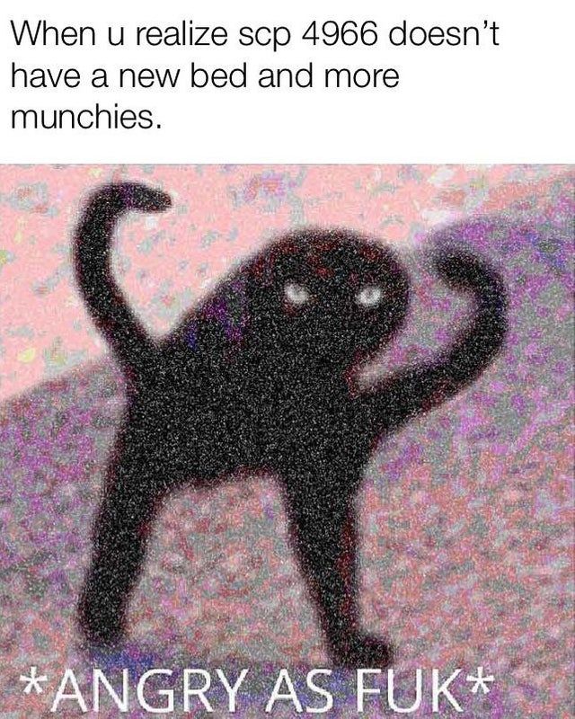 <b>k</b>