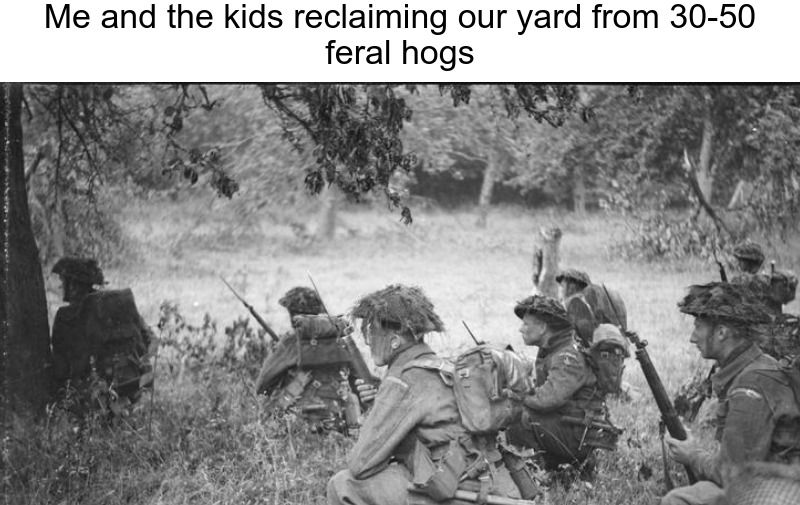 Gardening